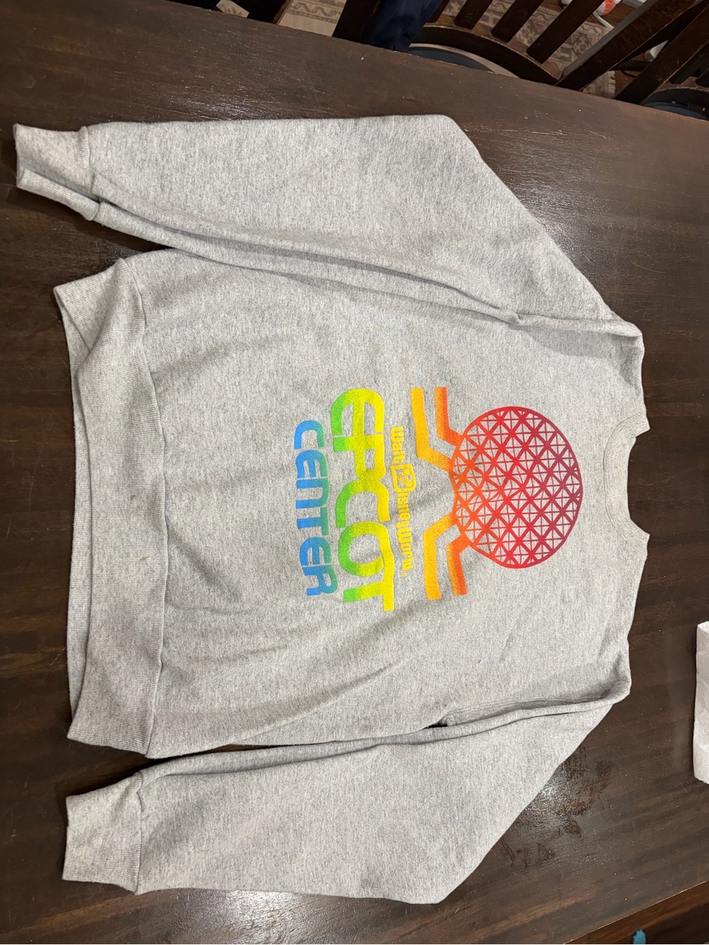 Disney Gray Sweatshirt with Multicolor EPCOT Center Graphic